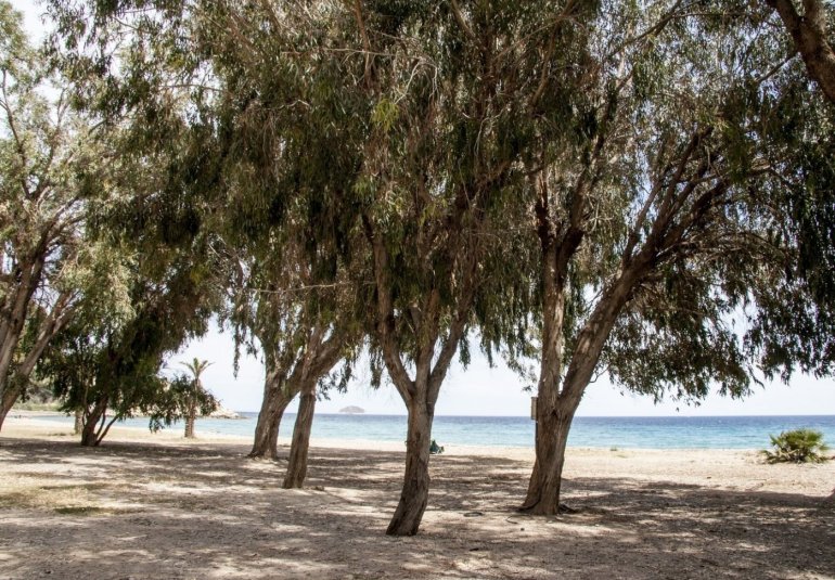 Obra nueva - Piso -
Villajoyosa - Playa Les Torres