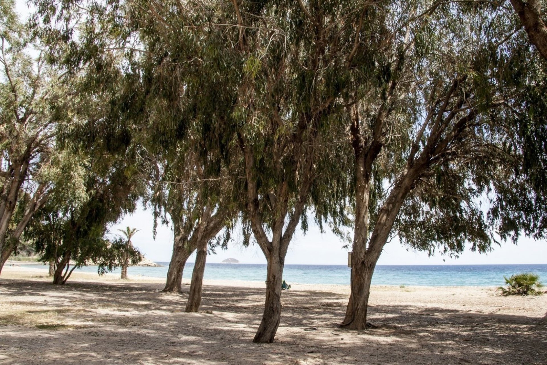 Obra nueva - Piso -
Villajoyosa - Playa Les Torres