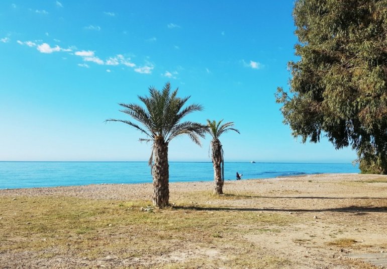 Obra nueva - Piso -
Villajoyosa - Playa Les Torres