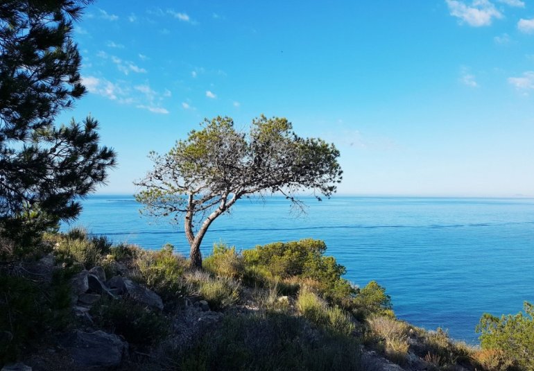 Obra nueva - Piso -
Villajoyosa - Playa Les Torres