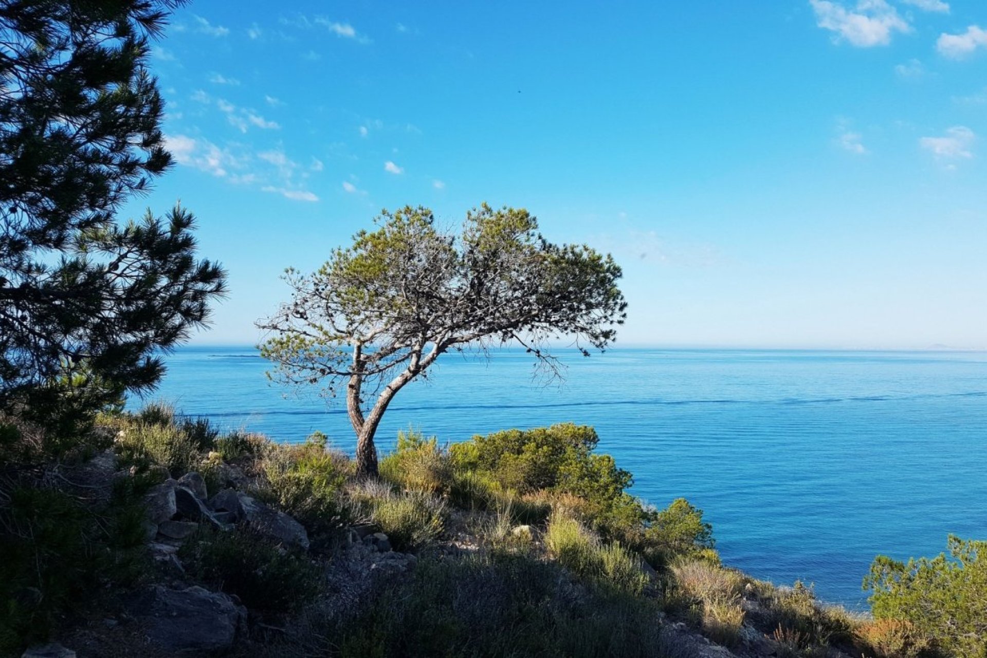 Obra nueva - Piso -
Villajoyosa - Playa Les Torres