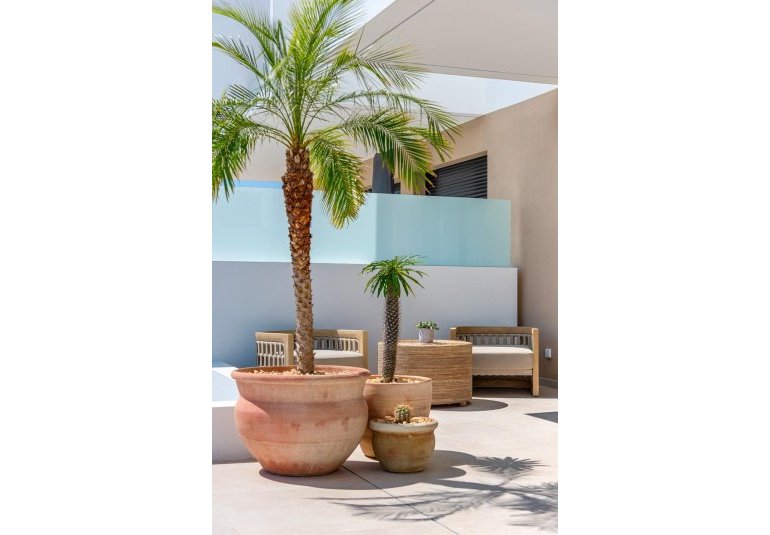 Obra nueva - Town House -
Dolores - Sector 3