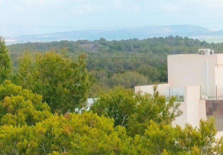Obra nueva - Town House -
Orihuela Costa - PAU 26