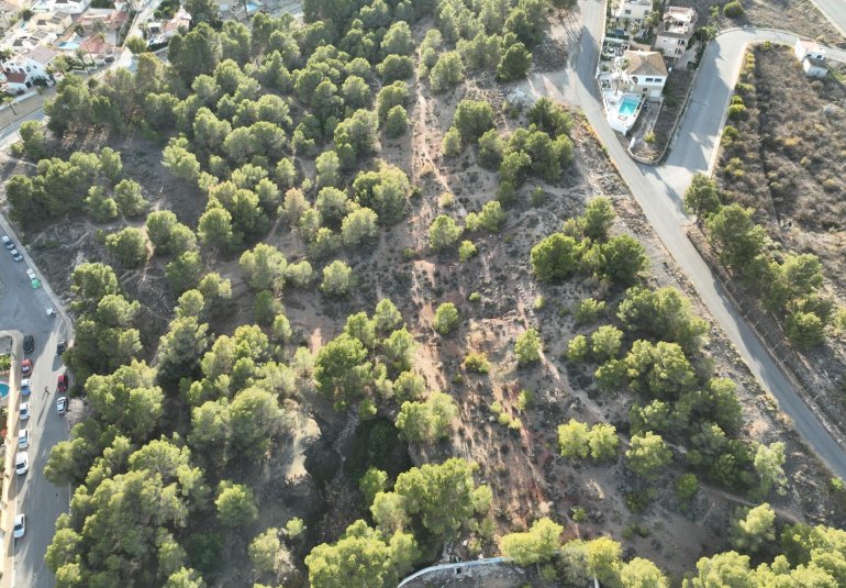 Obra nueva - Villa -
Alfas del Pí - Escandinavia
