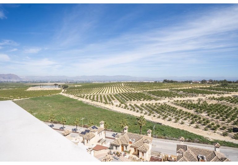 Obra nueva - Villa -
Algorfa - La finca golf