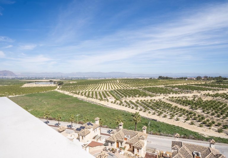Obra nueva - Villa -
Algorfa - La finca golf