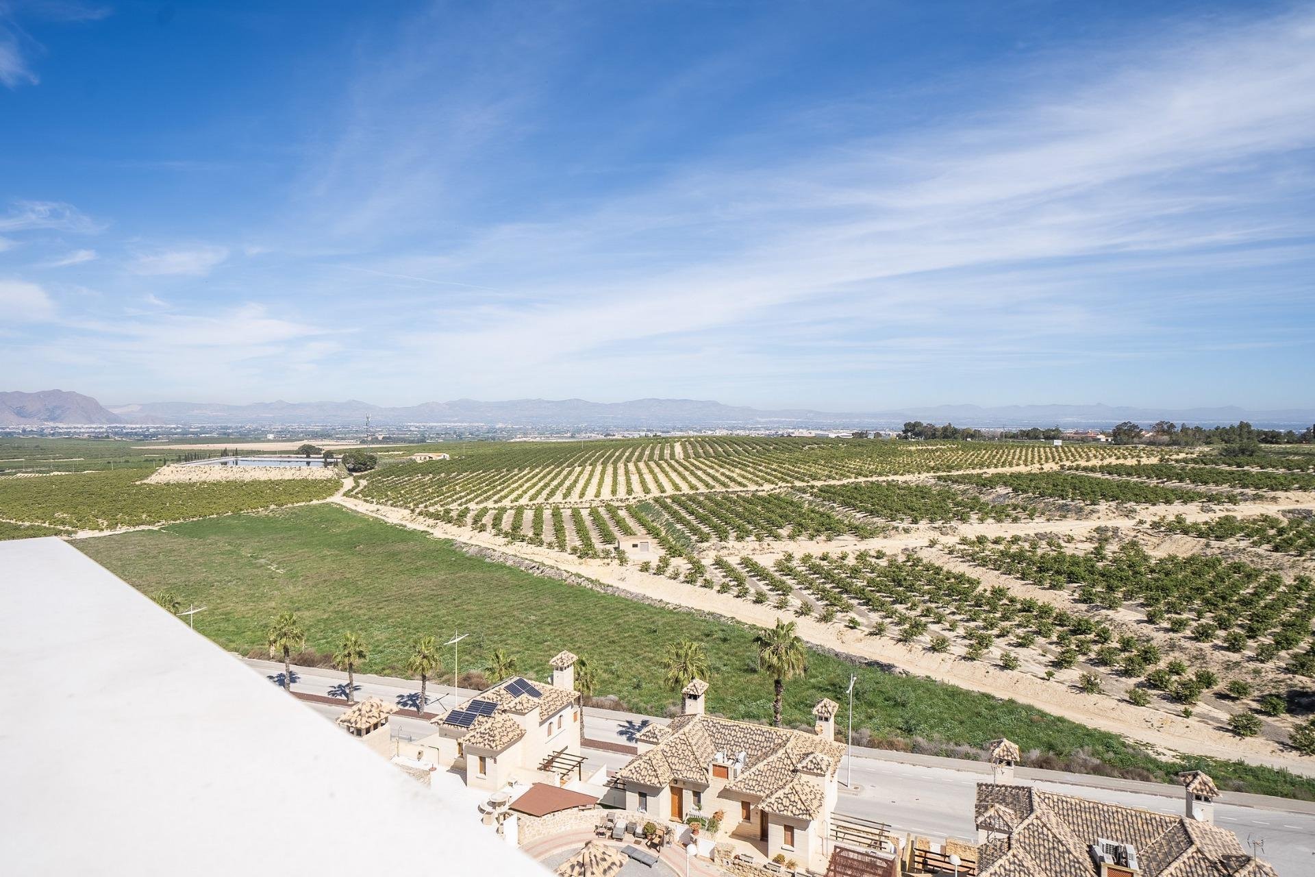 Obra nueva - Villa -
Algorfa - La finca golf