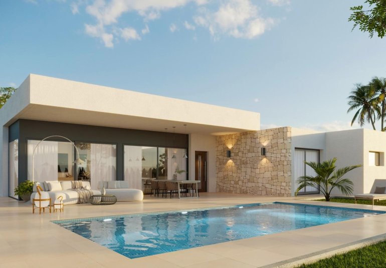 Obra nueva - Villa -
Aspe - Poligono 19