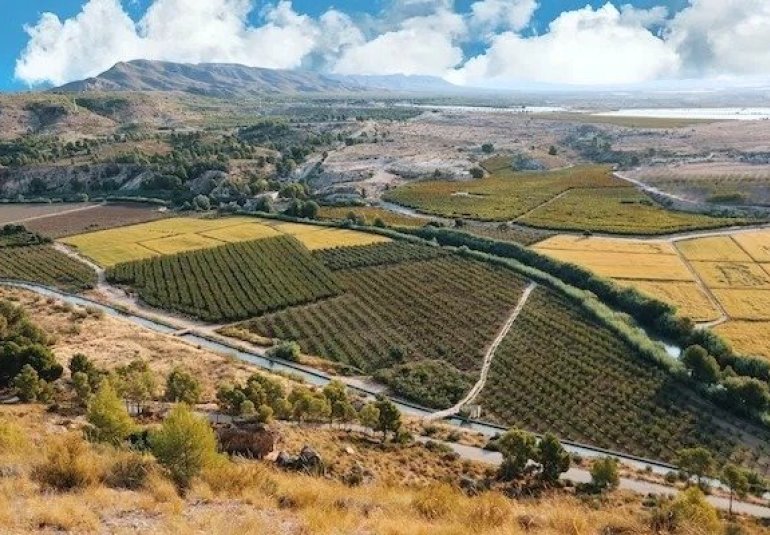 Obra nueva - Villa -
Calasparra - Coto riñales