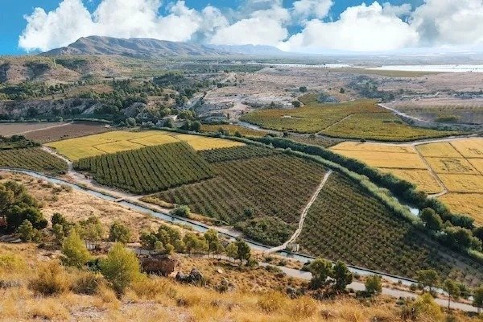 Obra nueva - Villa -
Calasparra - Coto riñales