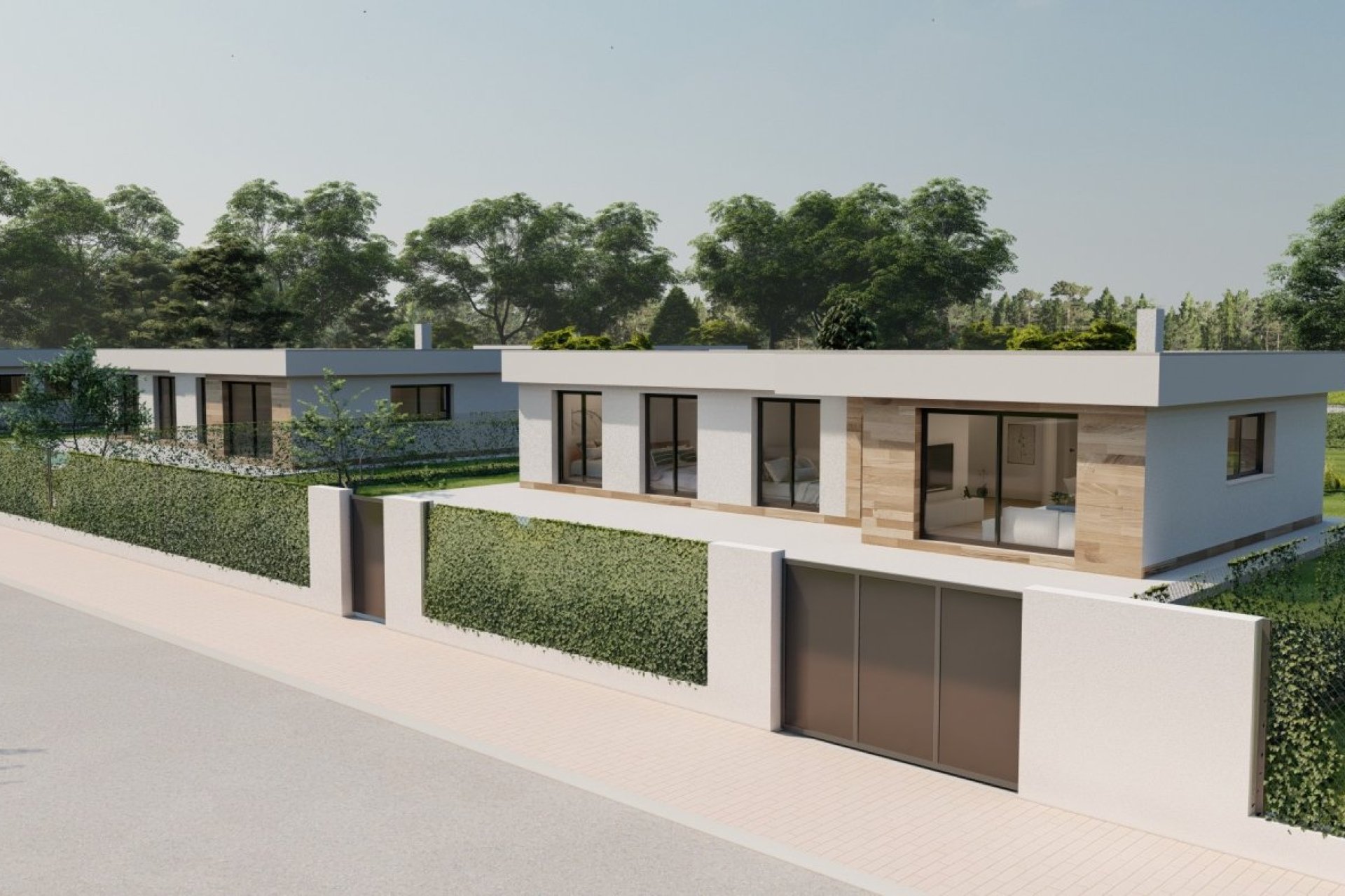 Obra nueva - Villa -
Calasparra - Coto riñales
