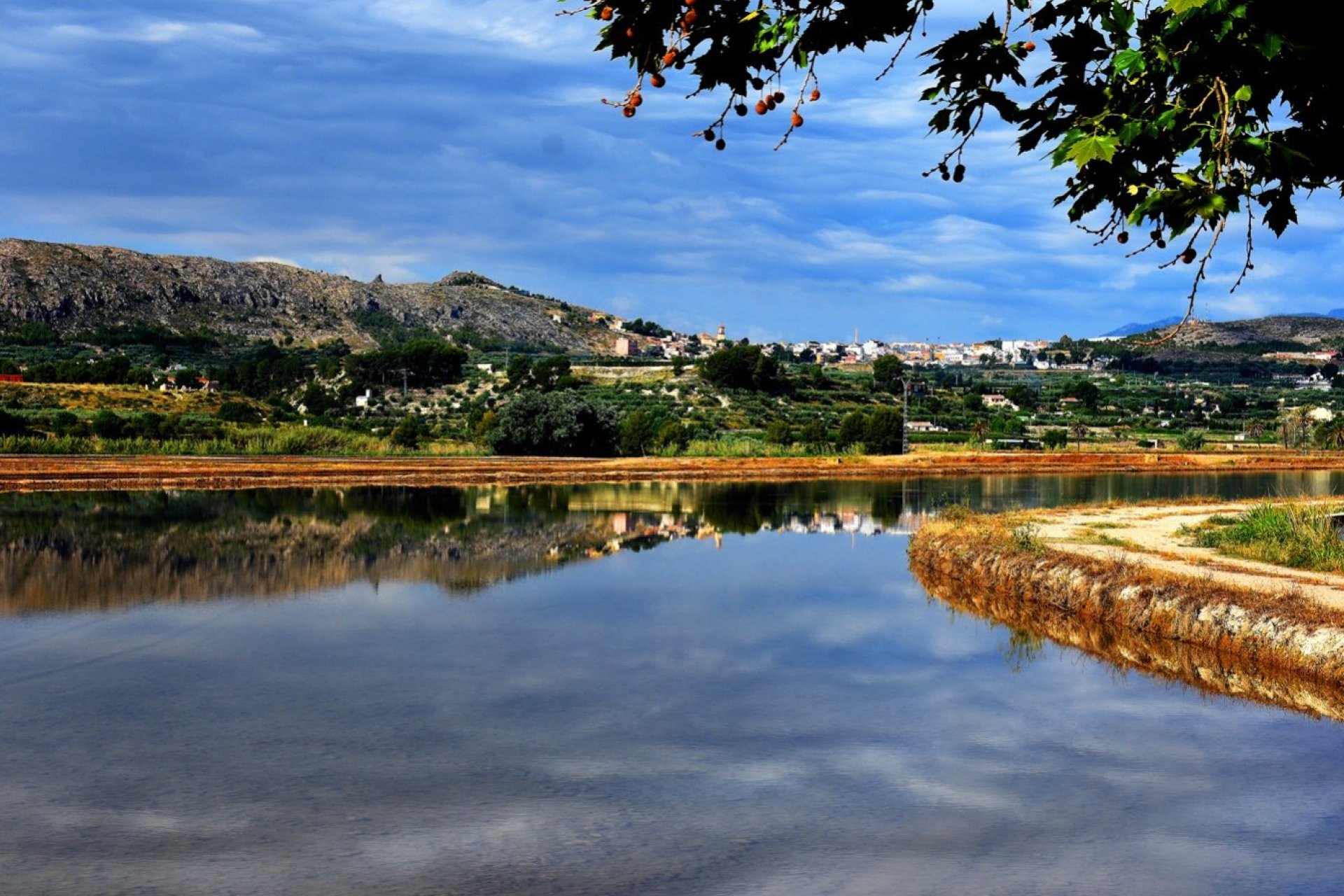 Obra nueva - Villa -
Calasparra - Coto riñales
