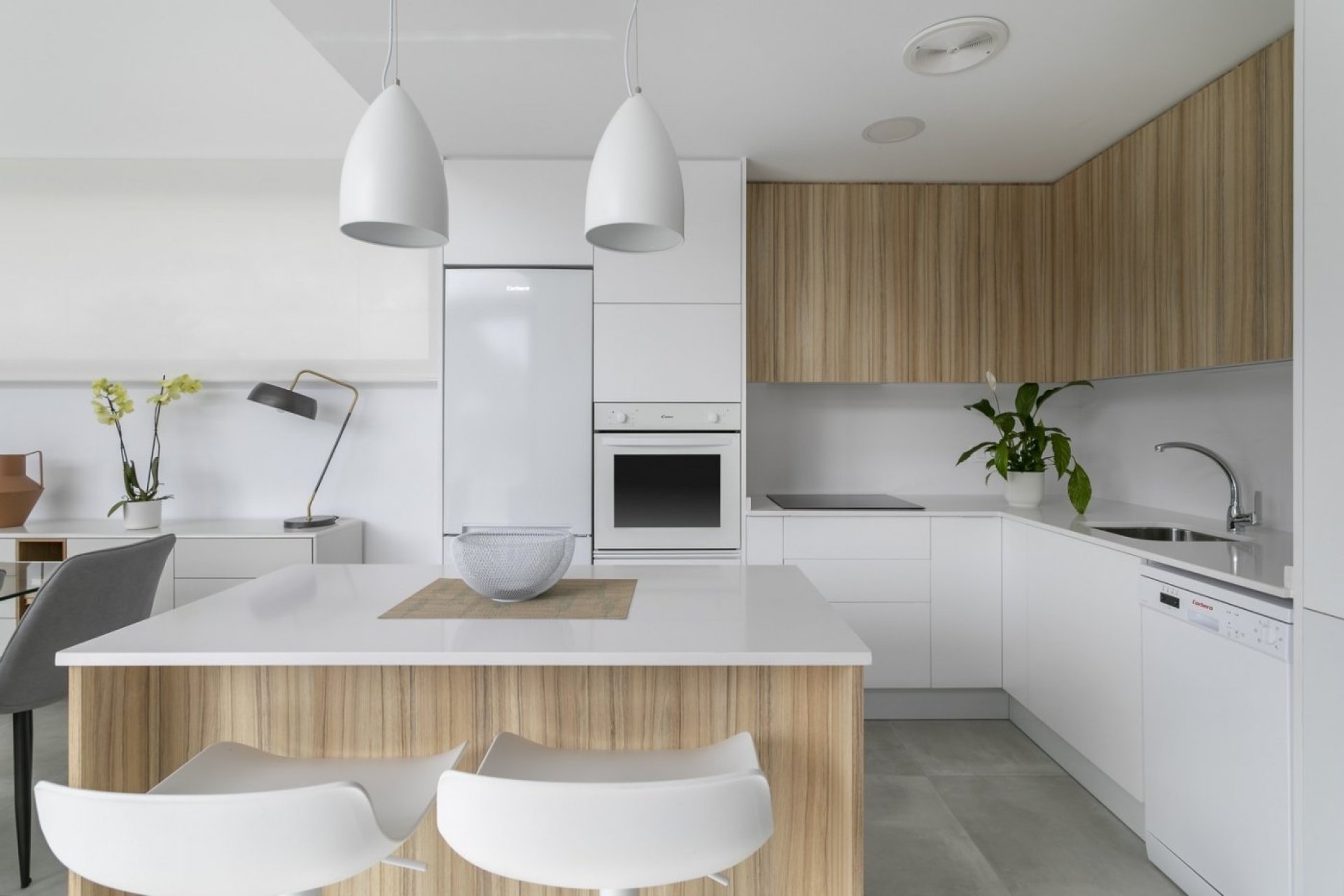 Obra nueva - Villa -
Calasparra - Coto riñales