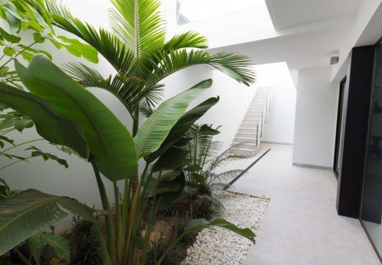 Obra nueva - Villa -
Finestrat - Campana garden