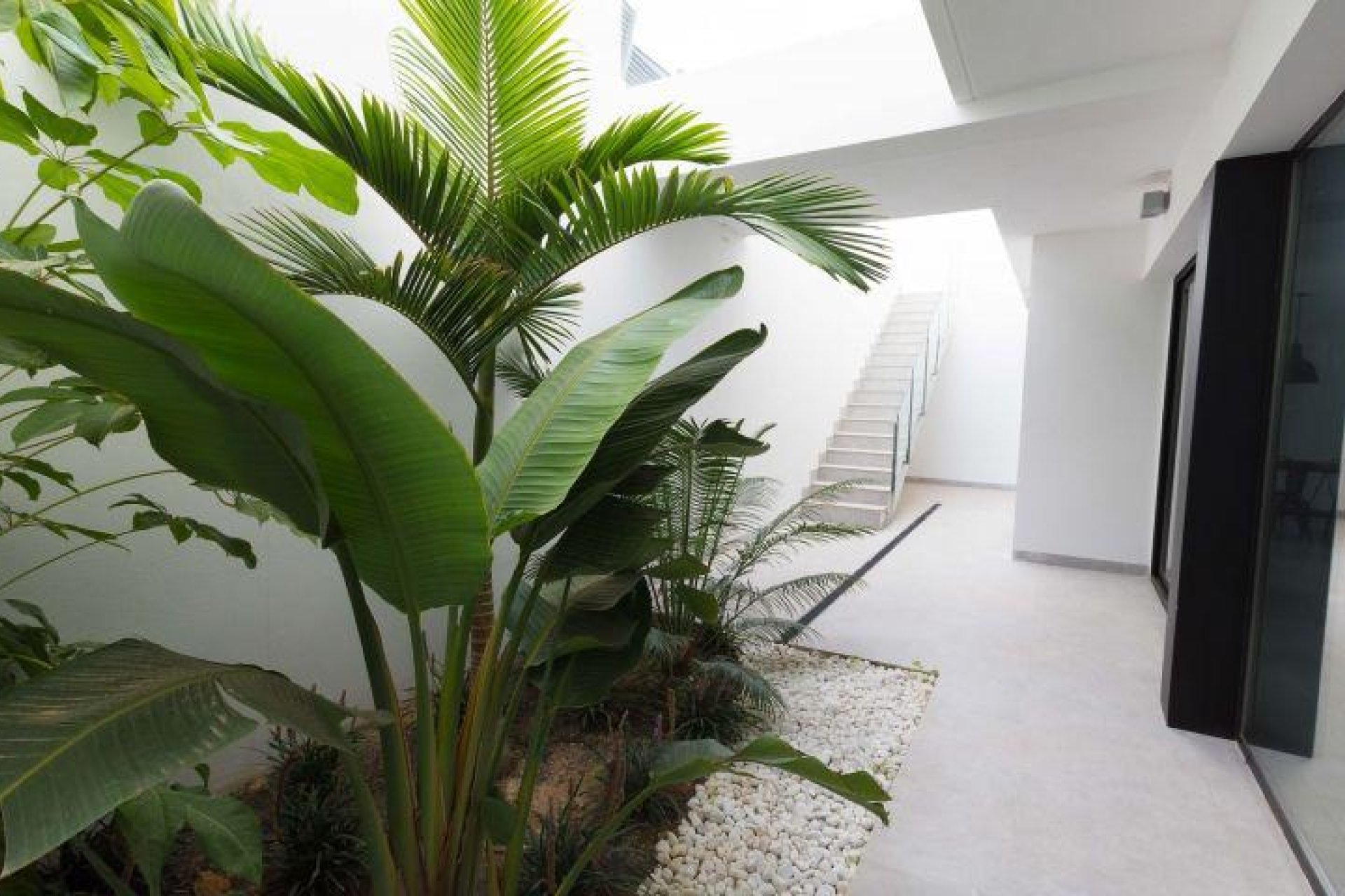 Obra nueva - Villa -
Finestrat - Campana garden