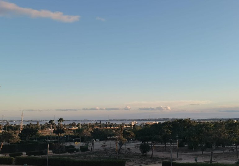 Obra nueva - Villa -
Los Montesinos - La herrada