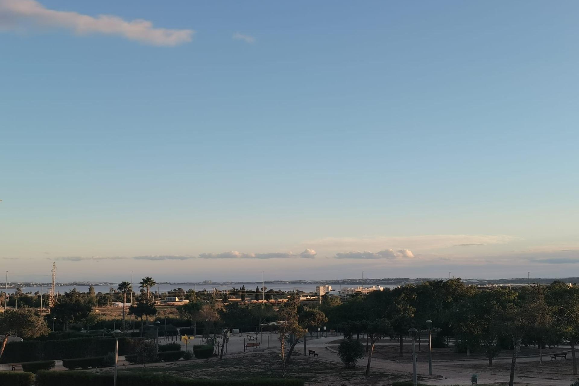 Obra nueva - Villa -
Los Montesinos - La herrada
