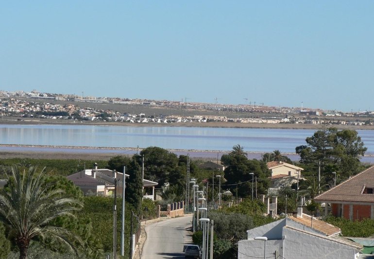 Obra nueva - Villa -
Los Montesinos - La herrada