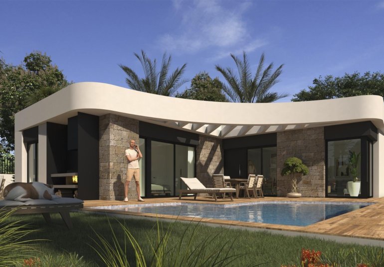 Obra nueva - Villa -
Los Montesinos - La herrada