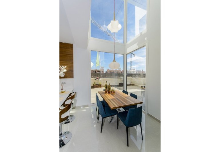 Obra nueva - Villa -
Los Montesinos - La herrada