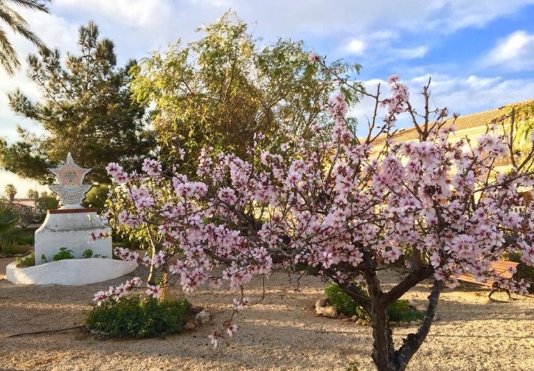 Obra nueva - Villa -
LOS URRUTIAS - ESTRELLA DE MAR