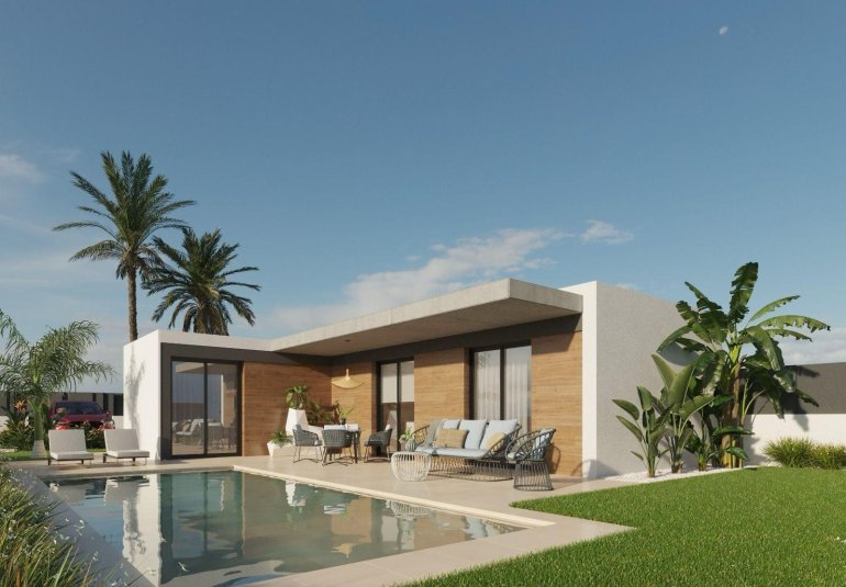 Obra nueva - Villa -
Molina De Segura - Urb. La Quinta