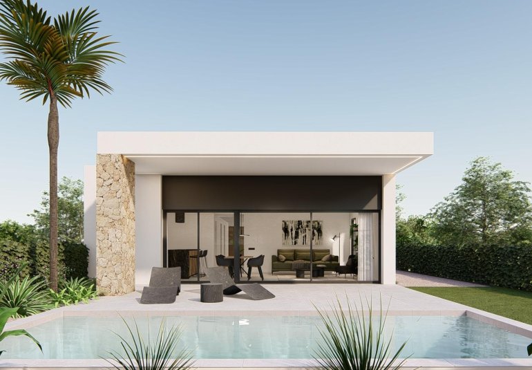 Obra nueva - Villa -
Molina De Segura - Urb. La Quinta