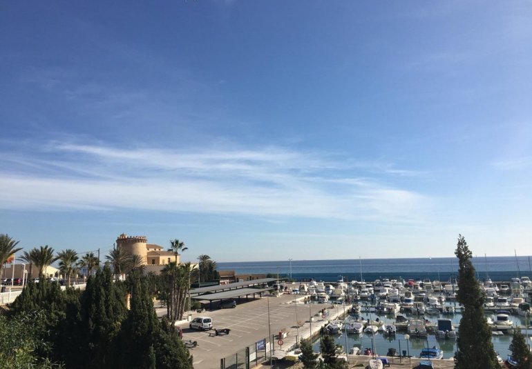 Obra nueva - Villa -
Pilar de la Horadada - Las Higuericas