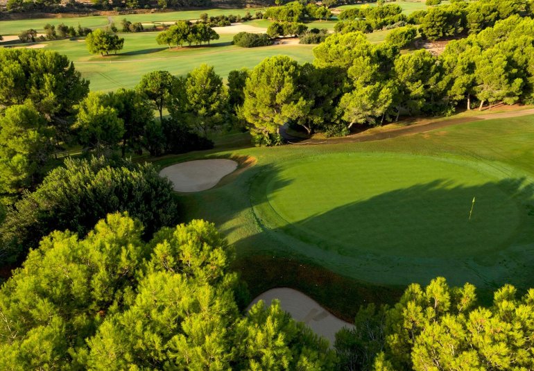 Obra nueva - Villa -
Pilar de la Horadada - Lo Romero Golf