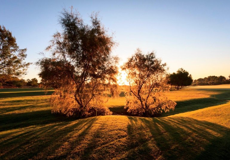 Obra nueva - Villa -
Pilar de la Horadada - Lo Romero Golf