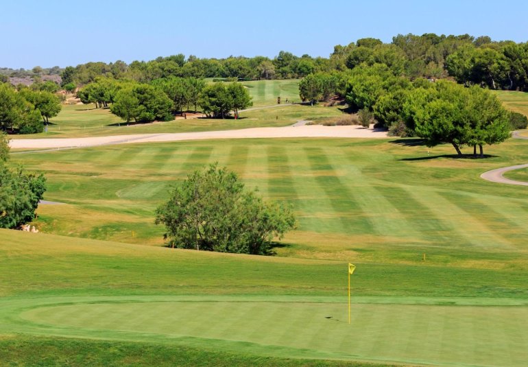 Obra nueva - Villa -
Pilar de la Horadada - Lo Romero Golf