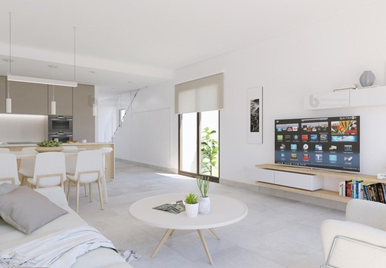 Obra nueva - Villa -
Pilar de la Horadada - Riomar