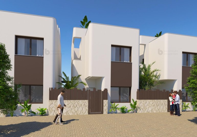 Obra nueva - Villa -
Pilar de la Horadada - Riomar