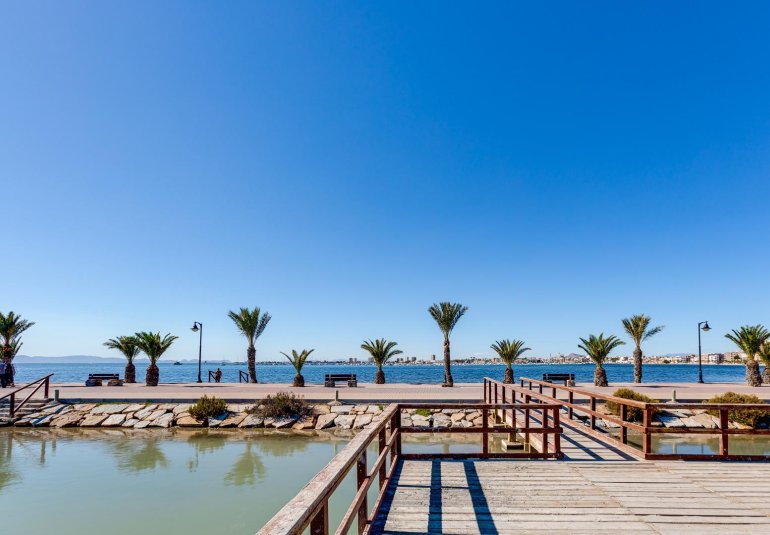 Obra nueva - Villa -
Pilar de la Horadada