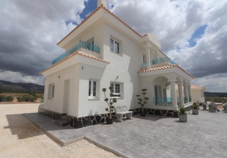 Obra nueva - Villa -
Pinoso - Camino Del Prado