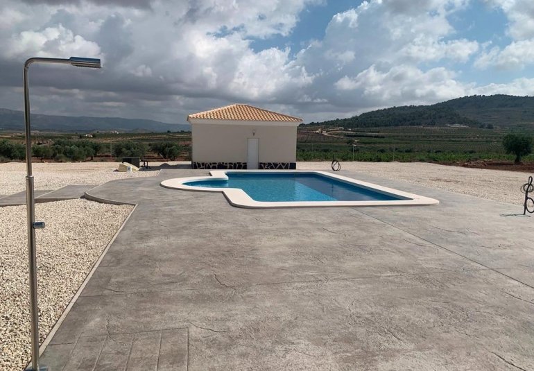 Obra nueva - Villa -
Pinoso - Camino Del Prado