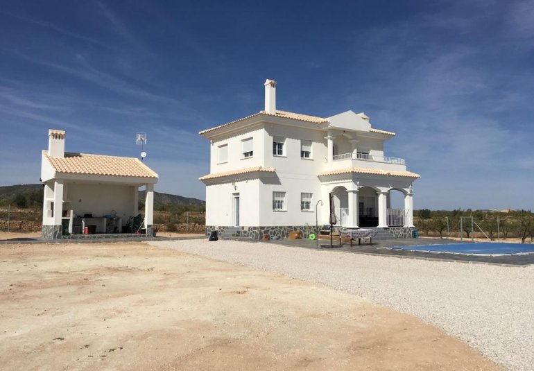 Obra nueva - Villa -
Pinoso - Camino Del Prado