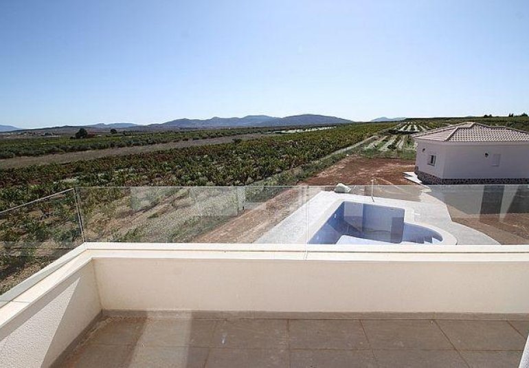 Obra nueva - Villa -
Pinoso - Camino Del Prado