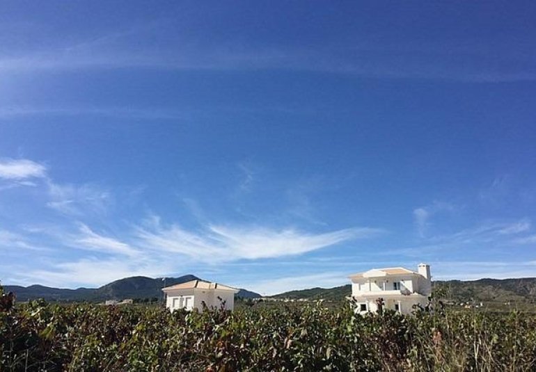 Obra nueva - Villa -
Pinoso - Camino Del Prado