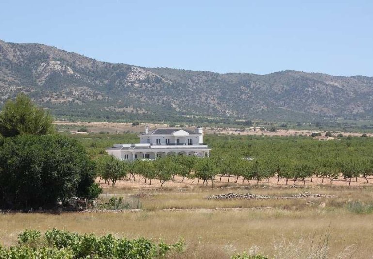 Obra nueva - Villa -
Pinoso - Camino Del Prado