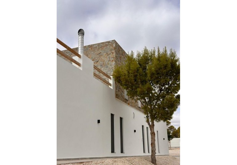 Obra nueva - Villa -
Pinoso - Casas Pastor
