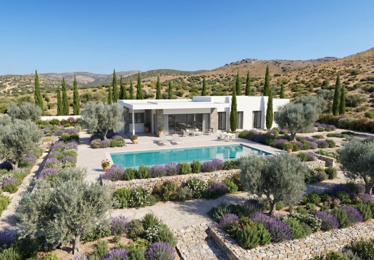 Obra nueva - Villa -
Pinoso - Casas Pastor