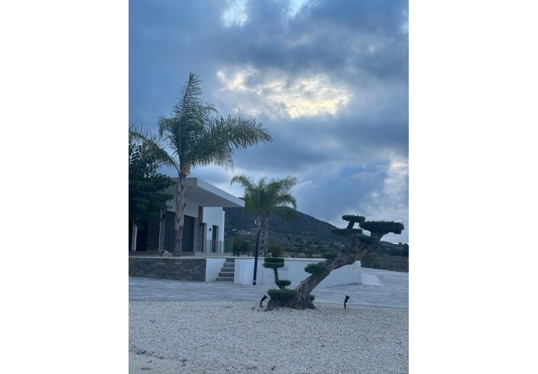 Obra nueva - Villa -
Pinoso - Casas Pastor