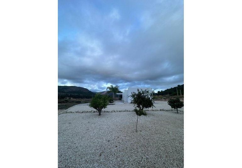 Obra nueva - Villa -
Pinoso - Casas Pastor