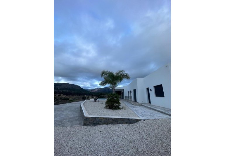 Obra nueva - Villa -
Pinoso - Casas Pastor