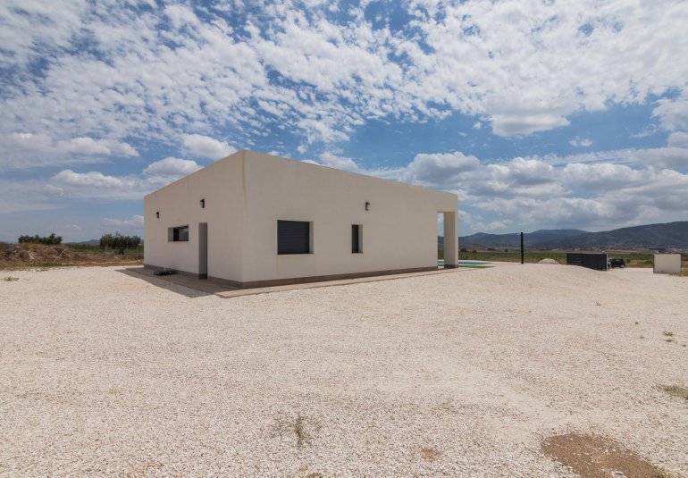 Obra nueva - Villa -
Pinoso - Lel