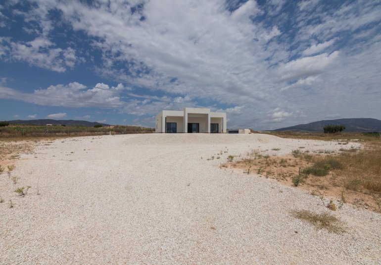 Obra nueva - Villa -
Pinoso - Lel