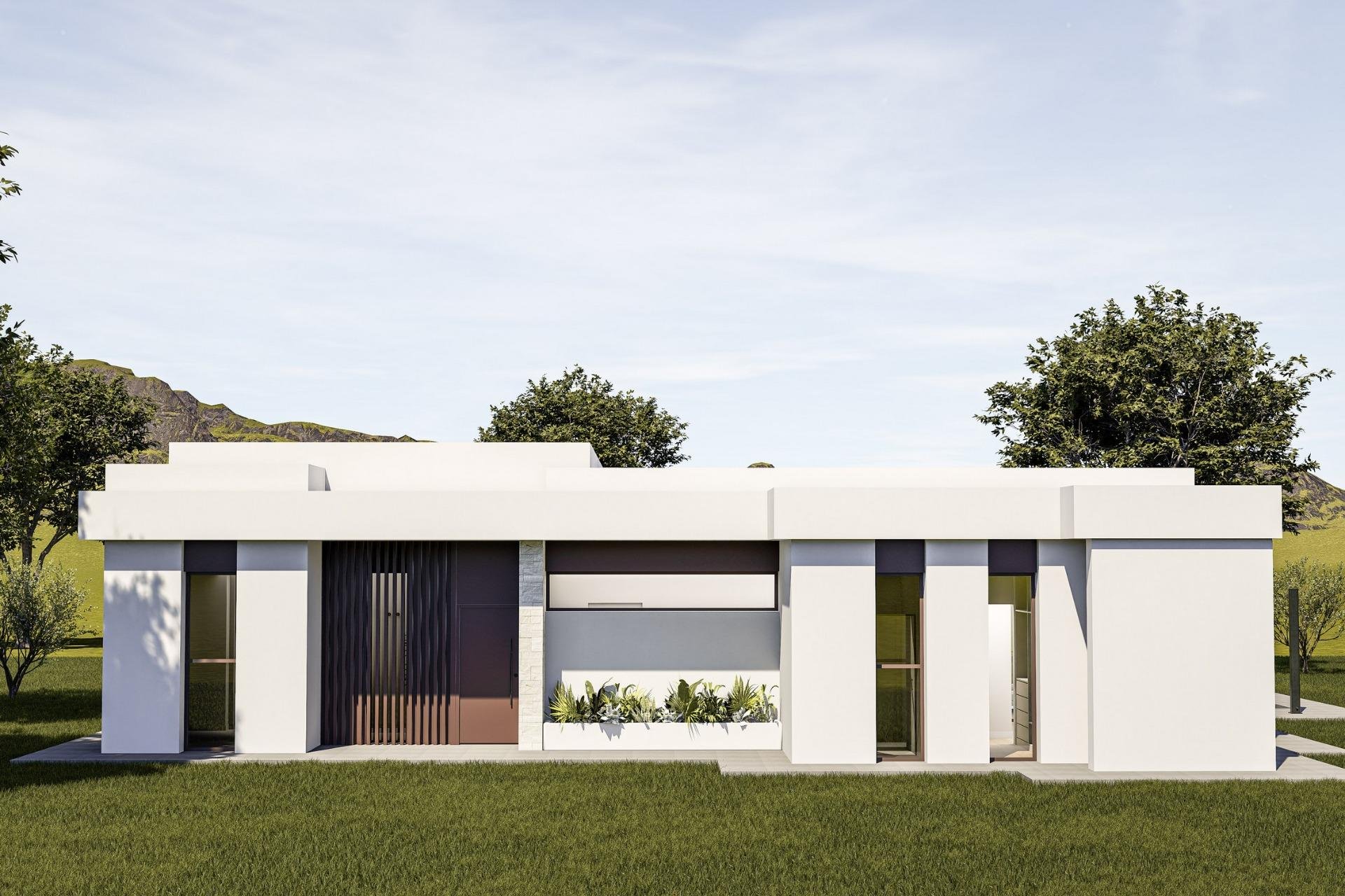 Obra nueva - Villa -
Pinoso - Lel