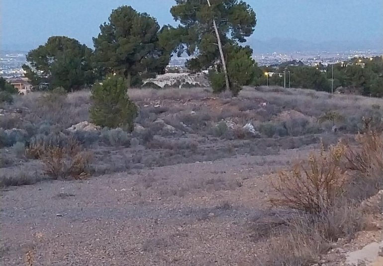 Obra nueva - Villa -
Sangonera la Verde - Torre Guil