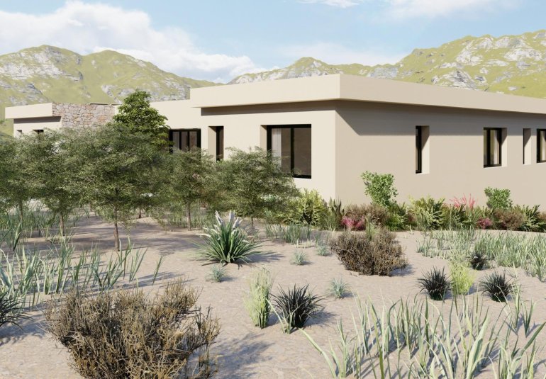 Obra nueva - Villa -
Yecla